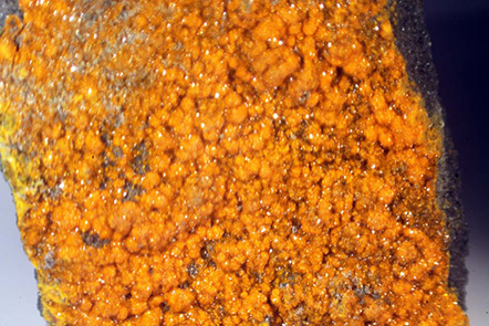 Huemulite