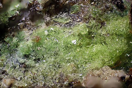 Metarauchite