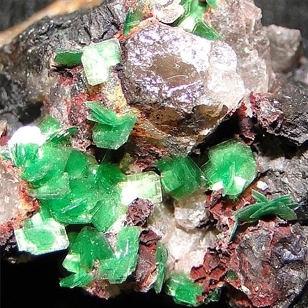 Torbernite