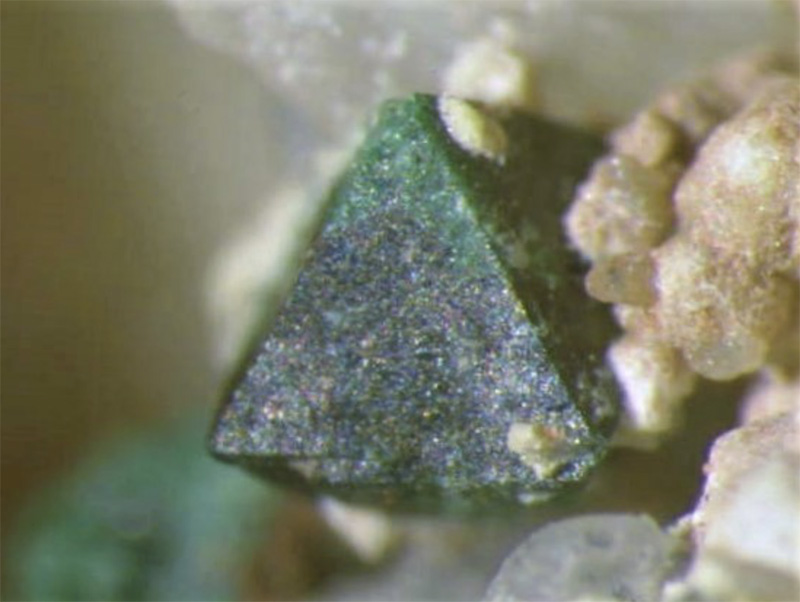 Choloalite